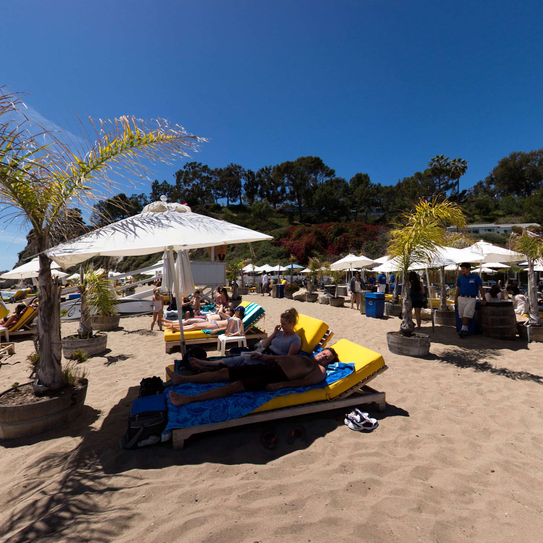 Bob Morris S Paradise Cove Beach Cafe In Malibu California