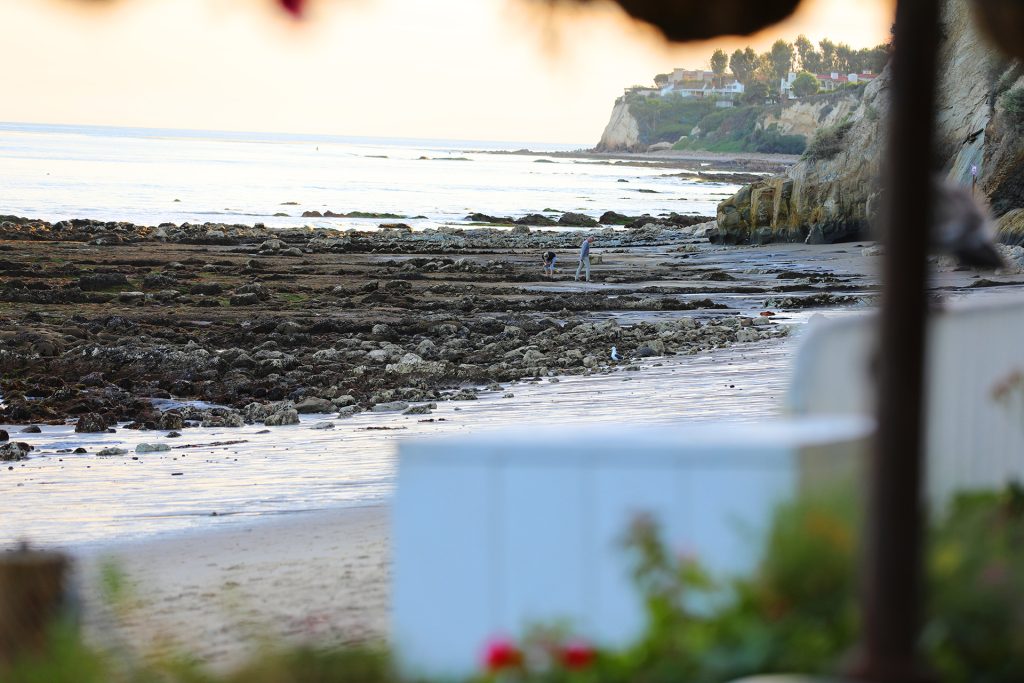Low tide at Paradise Cove Malibu